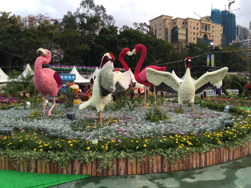 2015年3月20-30日在維多利亞公園舉之「香港花卉展」 