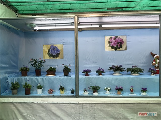 香港北區花鳥蟲魚展覽會2016 。本會會友作品參展。