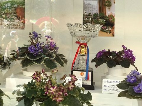 2017年「香港花卉展覽」，本會攤位榮獲「最佳展品大獎」